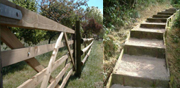 Gate and steps